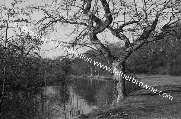 RIVER LIFFEY WEIR AT LEIXLIP